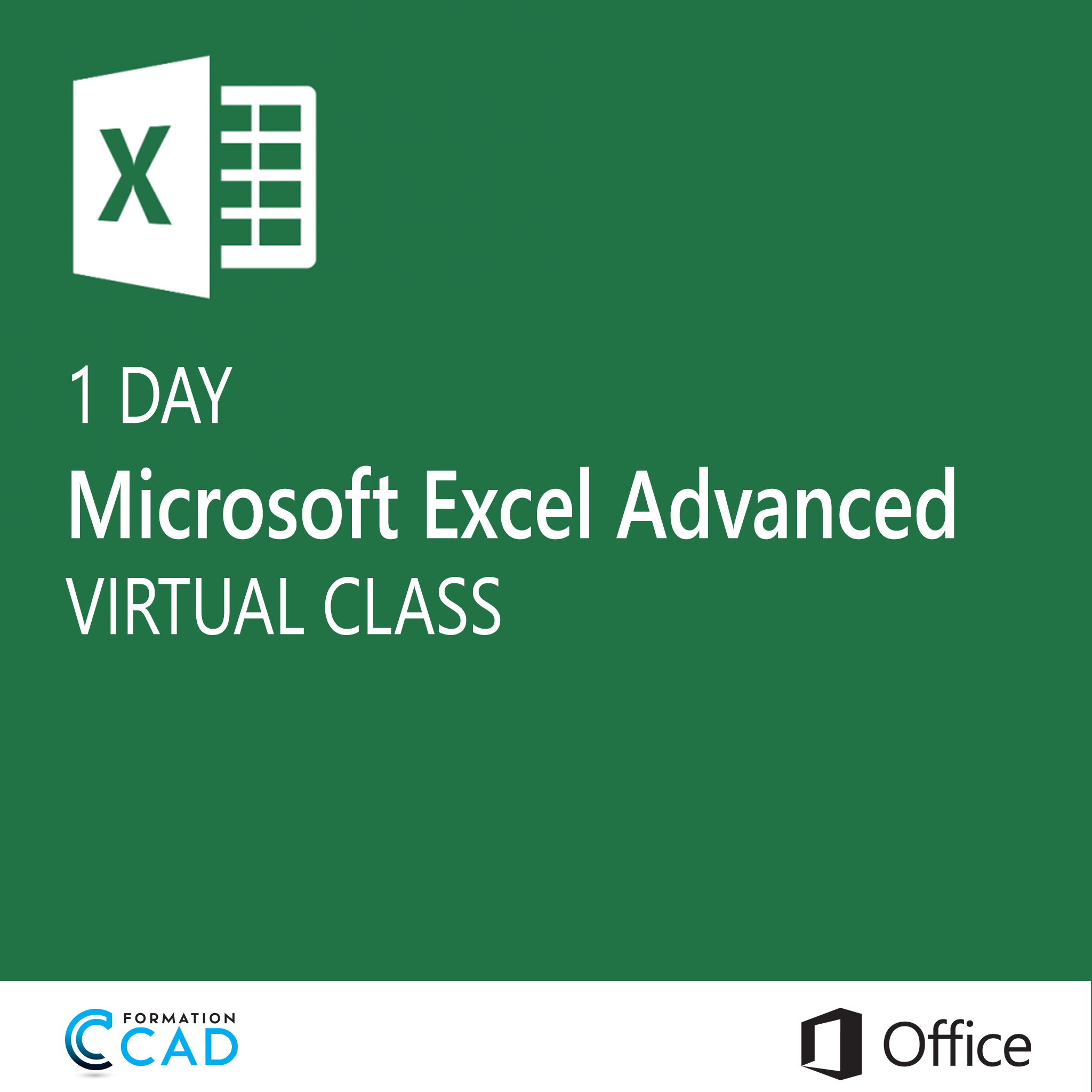 Microsoft Excel Training class Advanced (1 day) Formation CAD