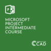 Microsoft Project Intermediate