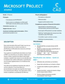 Microsoft Project Avancé