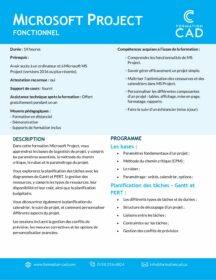 Microsoft Project Fonctionnel