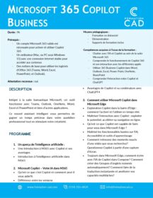 Formation Microsoft 365 Copilot Business