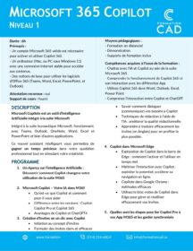 Formation Microsoft 365 Copilot Niveau 1