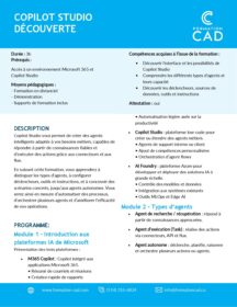 Formation Copilot Studio Découverte