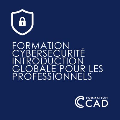 Formation Cybersécurité - Introduction globale pour les professionnels
