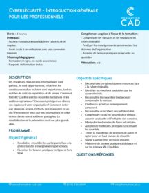 Formation Cybersécurité - Introduction globale pour les professionnels Formation Cybersécurité - Introduction globale pour les professionnels